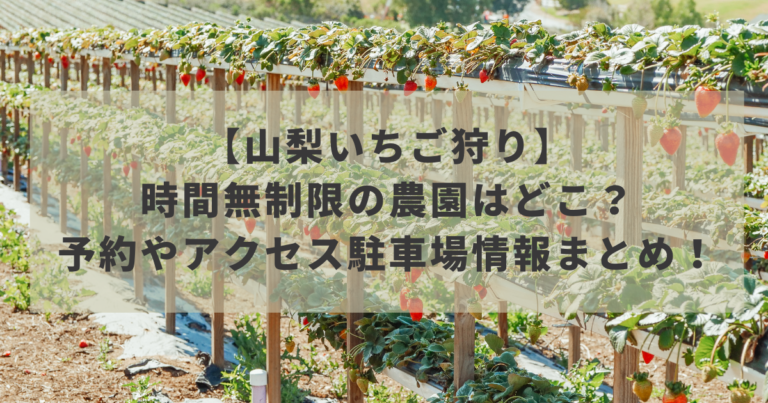 【山梨いちご狩り2022】時間無制限の農園はどこ？予約やアクセス駐車場情報まとめ！イメージ画像